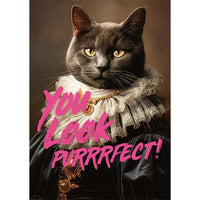 You Look Purrrfect! 1000 Piece Jigsaw Puzzle Piatnik