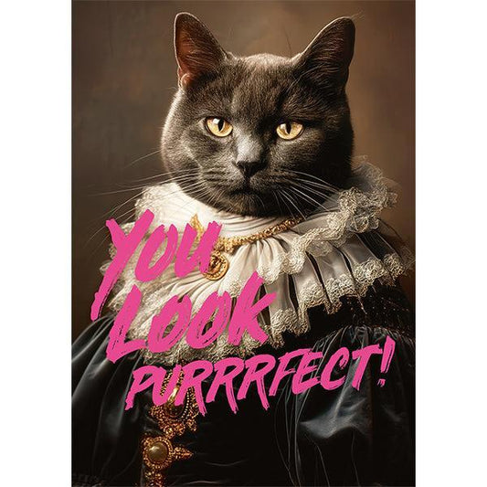 You Look Purrrfect! 1000 Piece Jigsaw Puzzle Piatnik