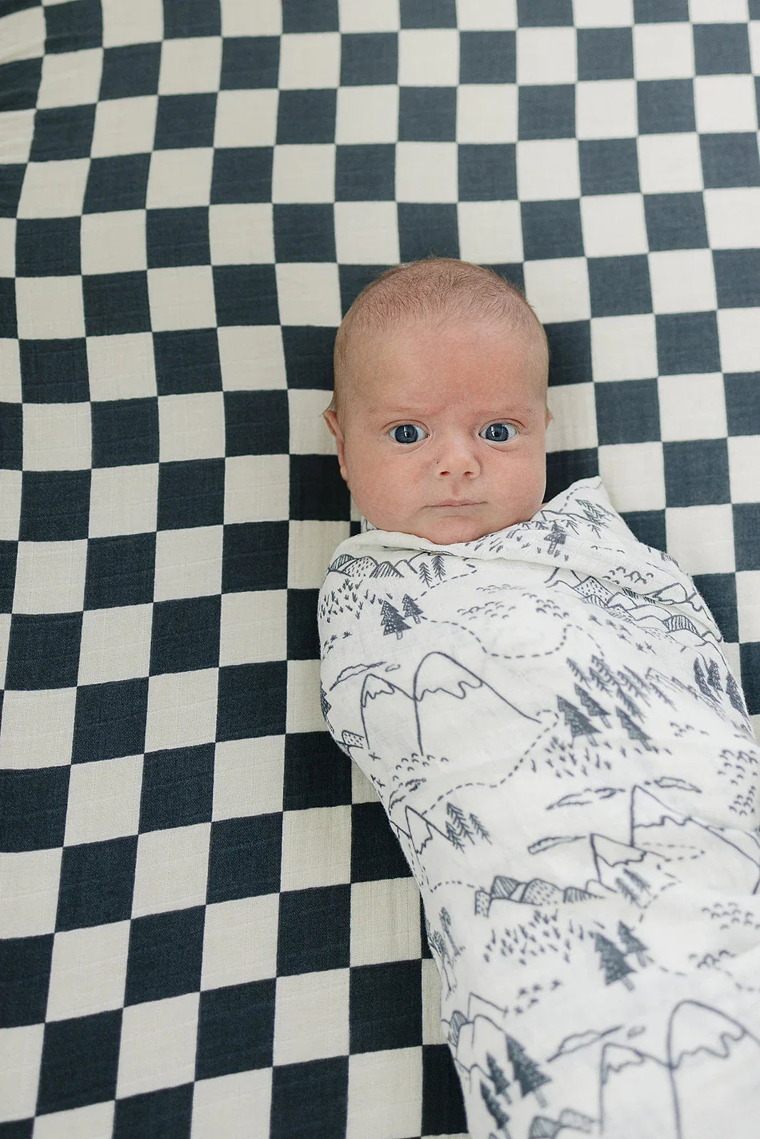 Summit Muslin Swaddle Blanket - BIG FRENCHIES