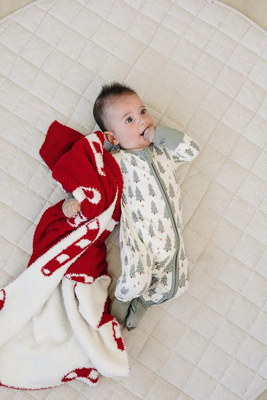 Candy Cane Plush Blanket - BIG FRENCHIES