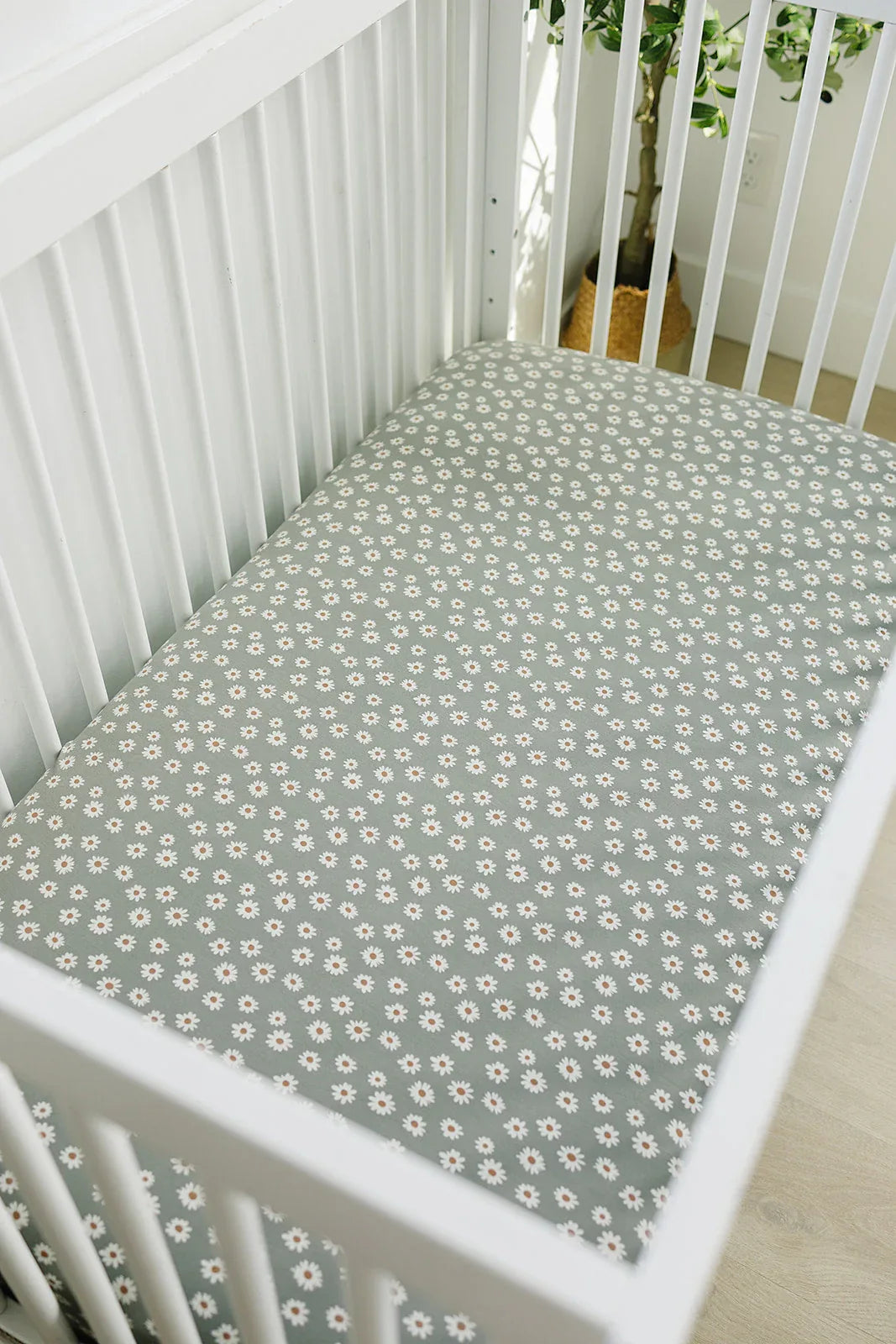Light Green Daisy Bamboo Stretch Crib Sheet - BIG FRENCHIES