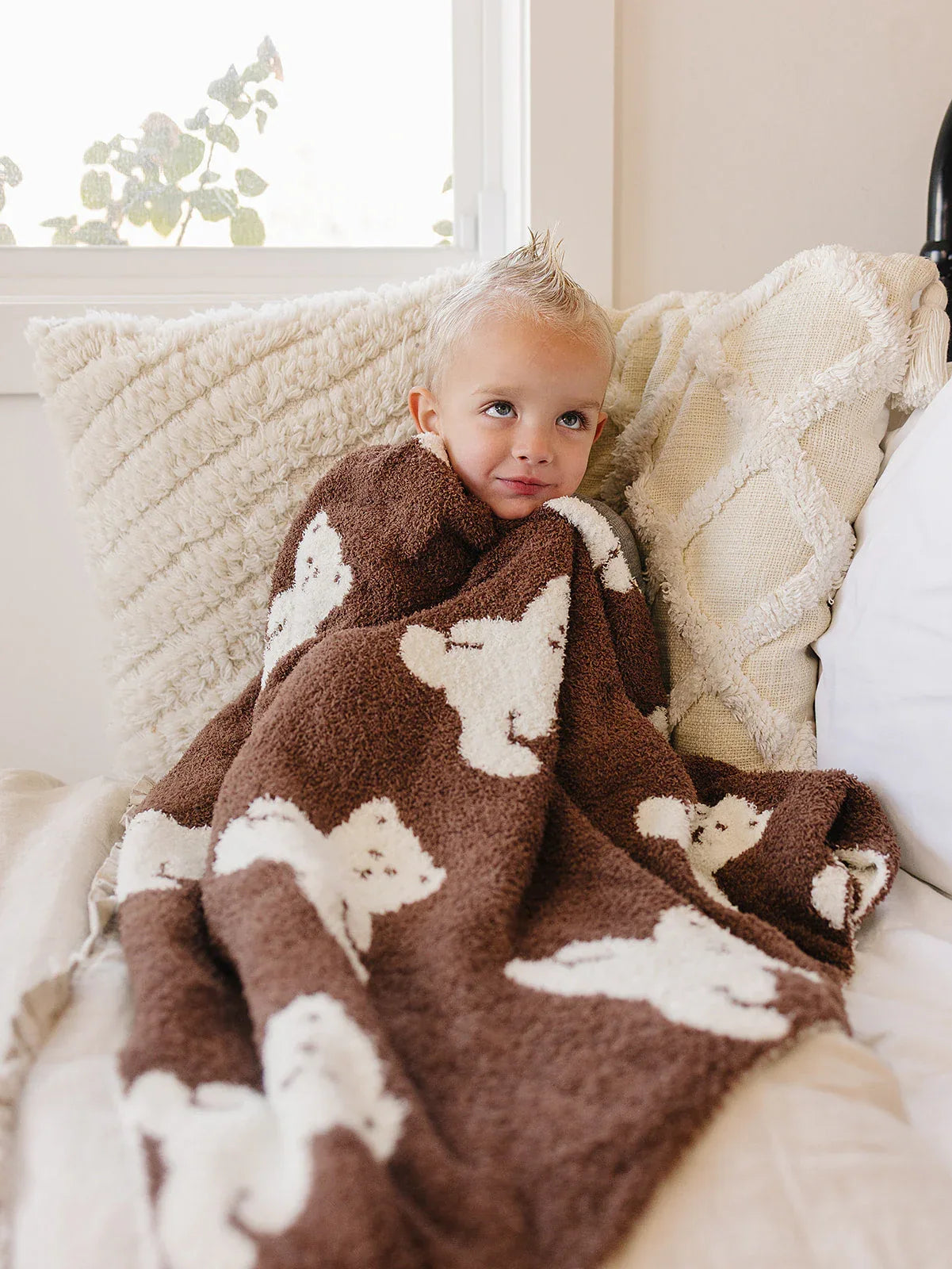 Teddy Bear Plush Blanket - BIG FRENCHIES