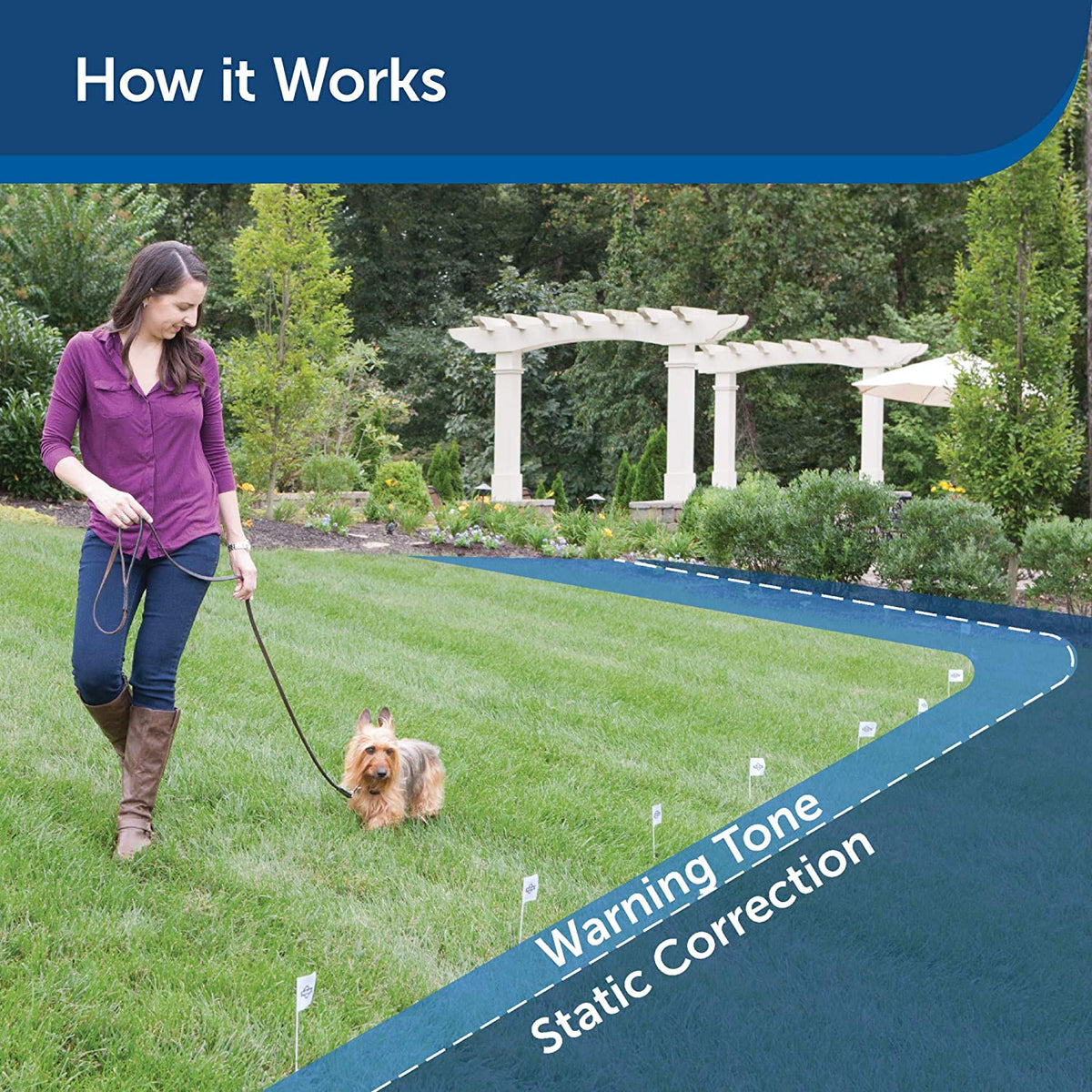 PetSafe Basic In-Ground Pet Fence ZIG00-16969 with 2 Waterproof UltraLight Collars and 500 ft of Wire