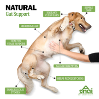 OEM Hot Sales Probiotics Chews For Pets Customized Shape For Digestive Health Pets Supplement Healthy Gut For Dogs