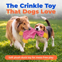 Best Pet Supplies Interactive Squeaky Dog Chew Toy, Ideal Dog Toys For Chewers, Small, Medium Large Dogs, And Fetch Love