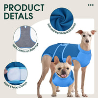 Female Dog Recovery Suit After Spay, XS–2XL
