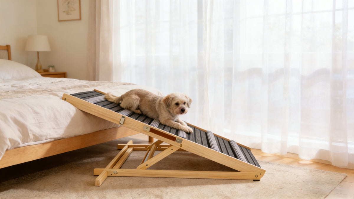2026 Upgraded Dog Ramp for Couch, Small Dog Ramp for Sofa, 6 Adjustable Height from 14'' to 25", Portable Stable Pet Ste