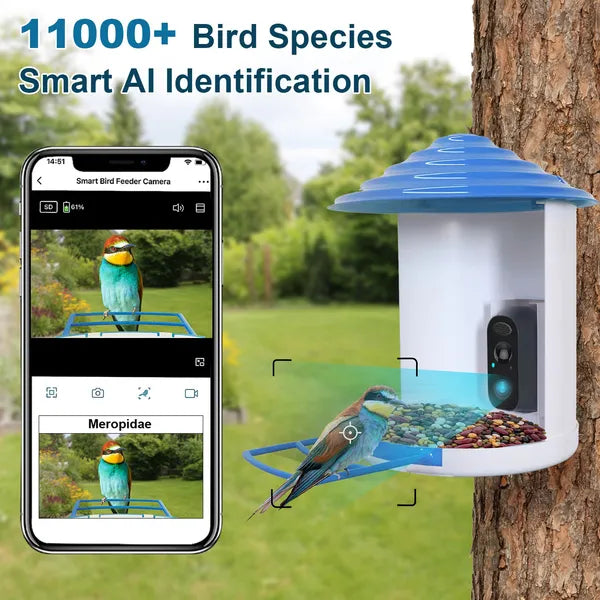 Smart Bird Feeder With Solar Powered Camera 1080P HD AI Identify PIR Motion Auto Capture Video Cloud Card Storage WiFi C