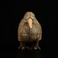 Kiwi Plush Toy New Zealand Juwei Doll