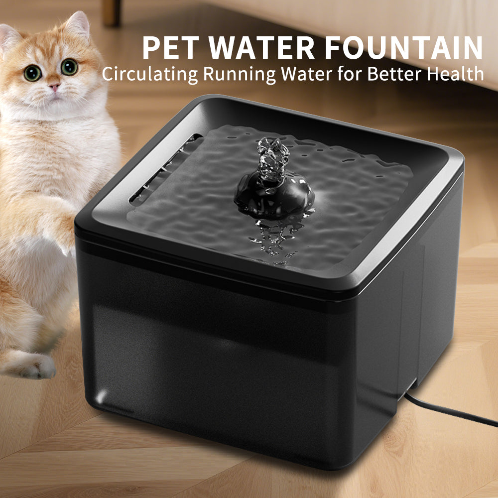 Square Water Dispenser