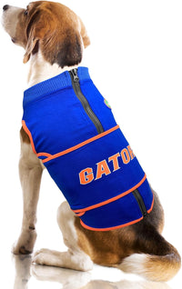 NCAA Calming Vest for Dogs & Cats – All Teams & Sizes