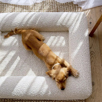 High-end Dog Bed With Memory Foam Waterproof And Removable For Washing