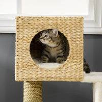Cattail Weave Cat Tree for Indoor Cats Kitty Tower with Rattan Cat Condo, Wicker Bed, Ladder, Washable Cushions, 22.5" x