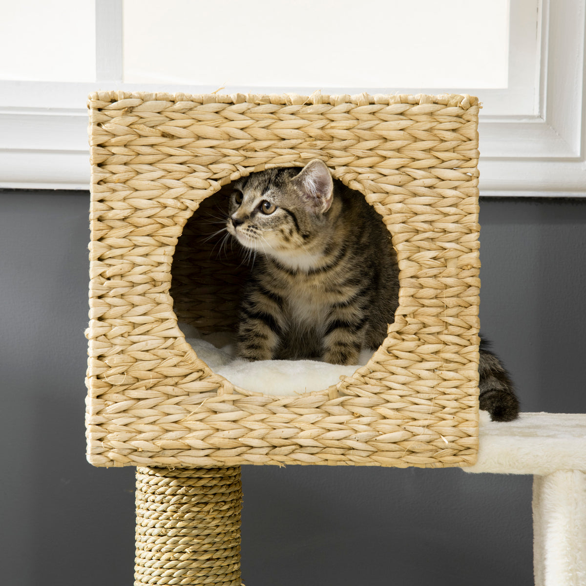 Cattail Weave Cat Tree for Indoor Cats Kitty Tower with Rattan Cat Condo, Wicker Bed, Ladder, Washable Cushions, 22.5" x