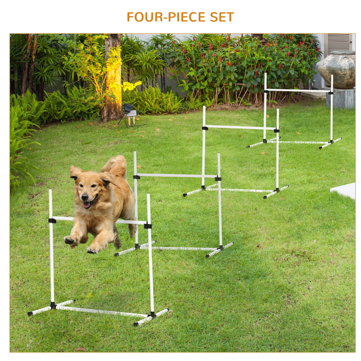 Dog agility training equipment