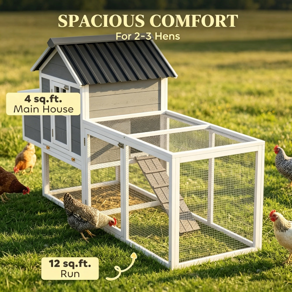 Chicken Coop