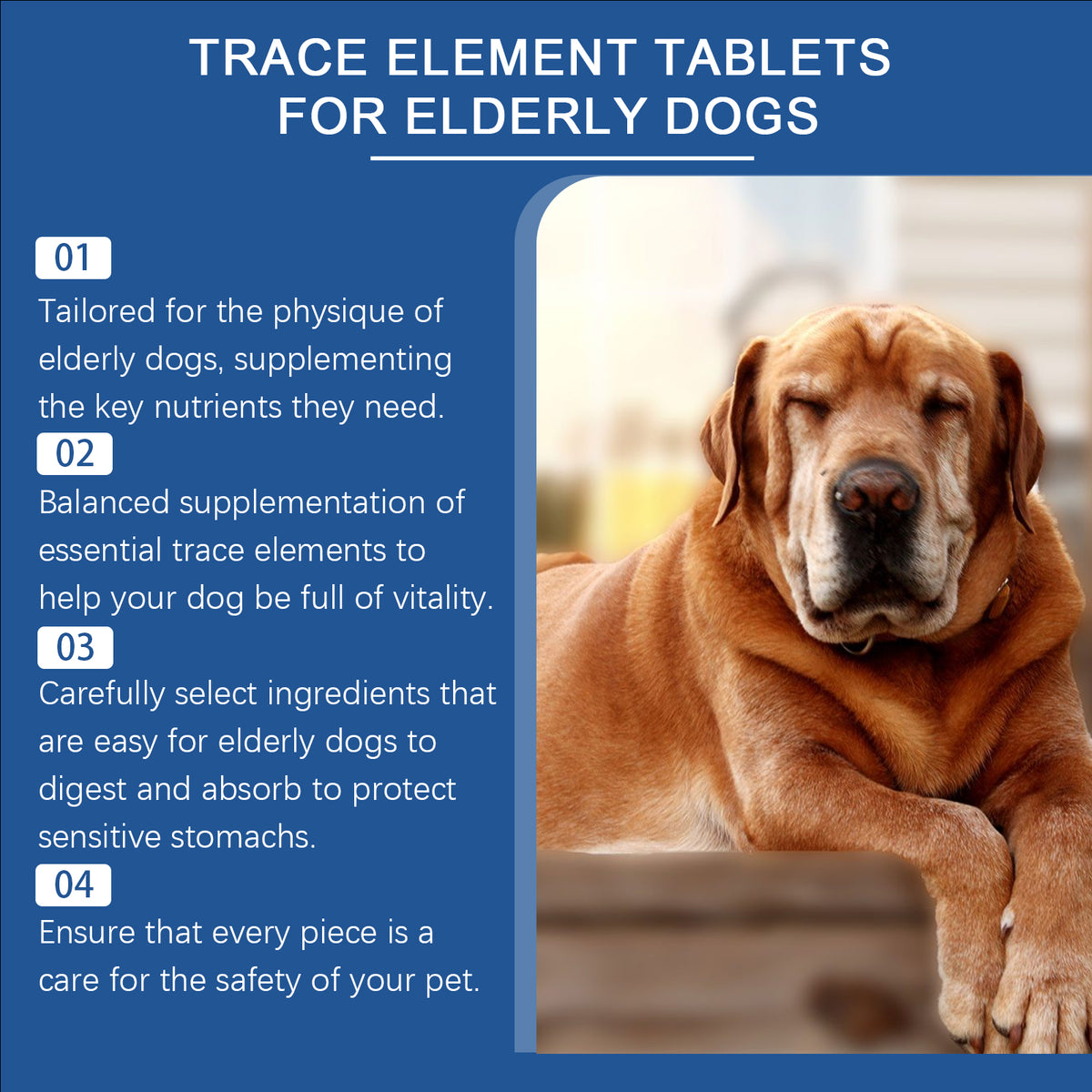 Trace Element Tablets For Senior Dogs Multimineral Supplement For Elderly Canines, Supports Bone Health, Skin Coat & Dig