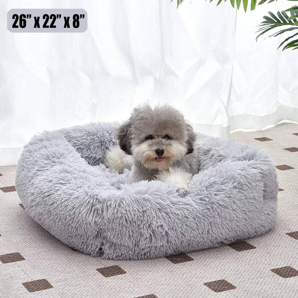 Cat Bed for Indoor Cats and small dogs - BIG FRENCHIES