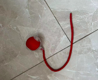 Rolling Pet Toy With Rope Smart Indoor Entertainment