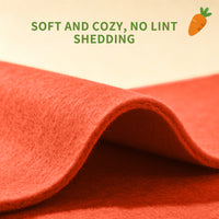 Only Self Pickup---Felt Radish Pet House