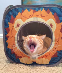 Jungle Cat Cube Combo - BIG FRENCHIES