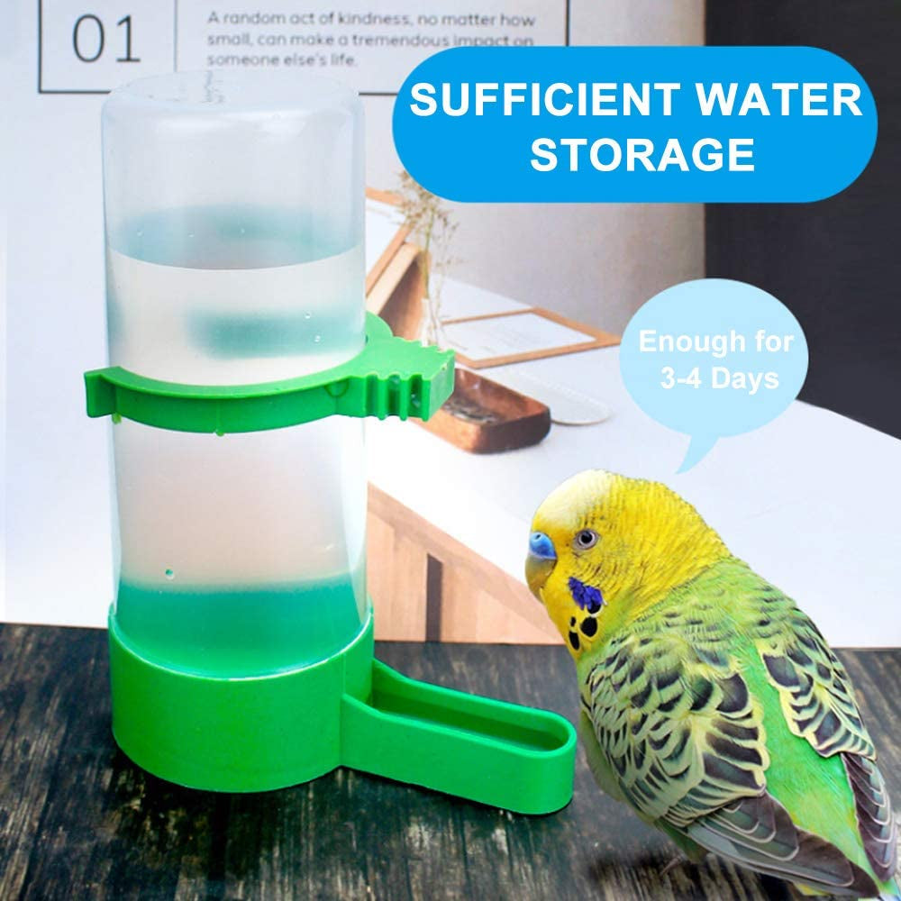 Automatic Bird Feeder & Water Dispenser - BIG FRENCHIES