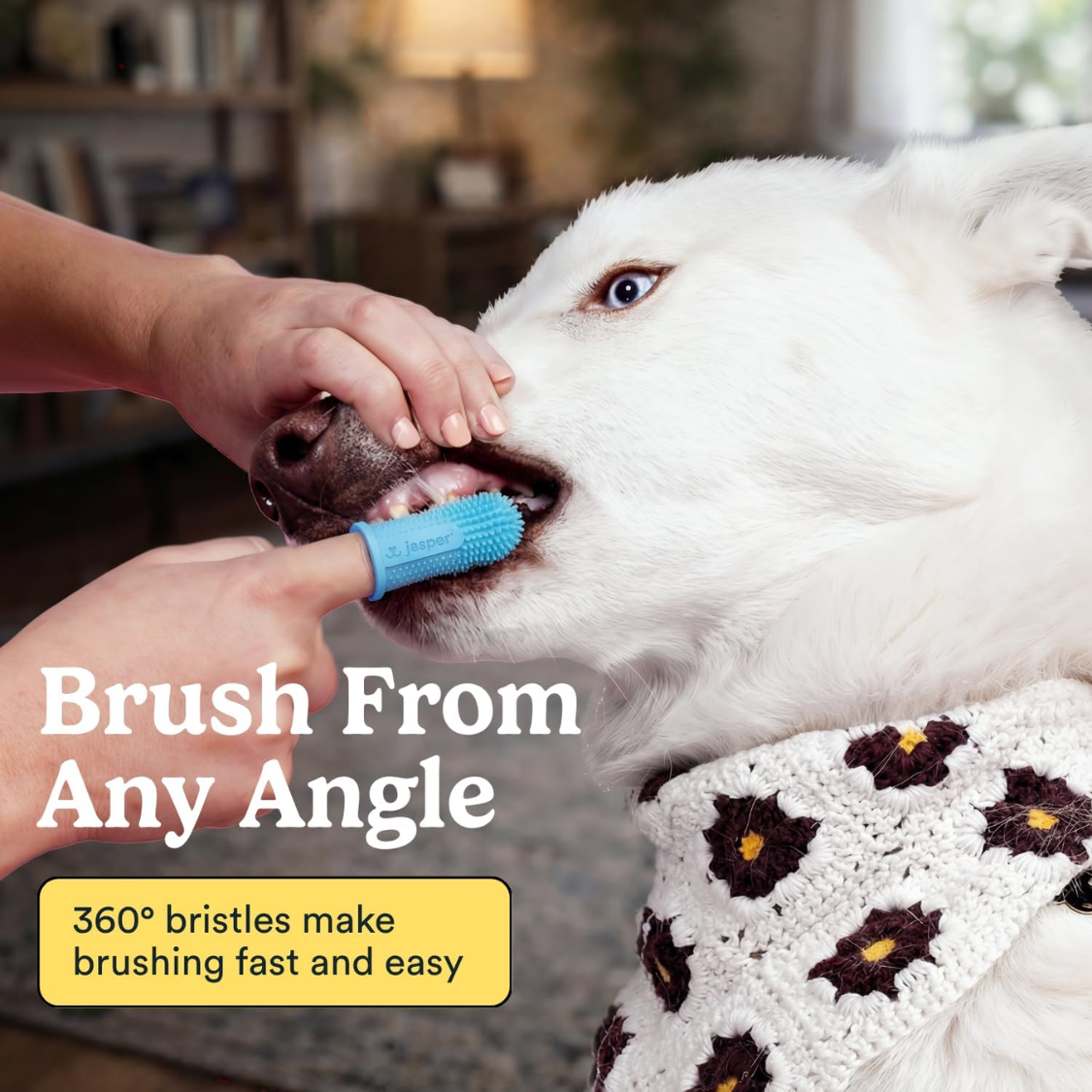 Dog Toothbrush, 360 Dog Tooth Brushing Kit, Finger Toothbrush, Cat Tooth Brush, Teeth Cleaning, Pet Tooth Brush For Smal