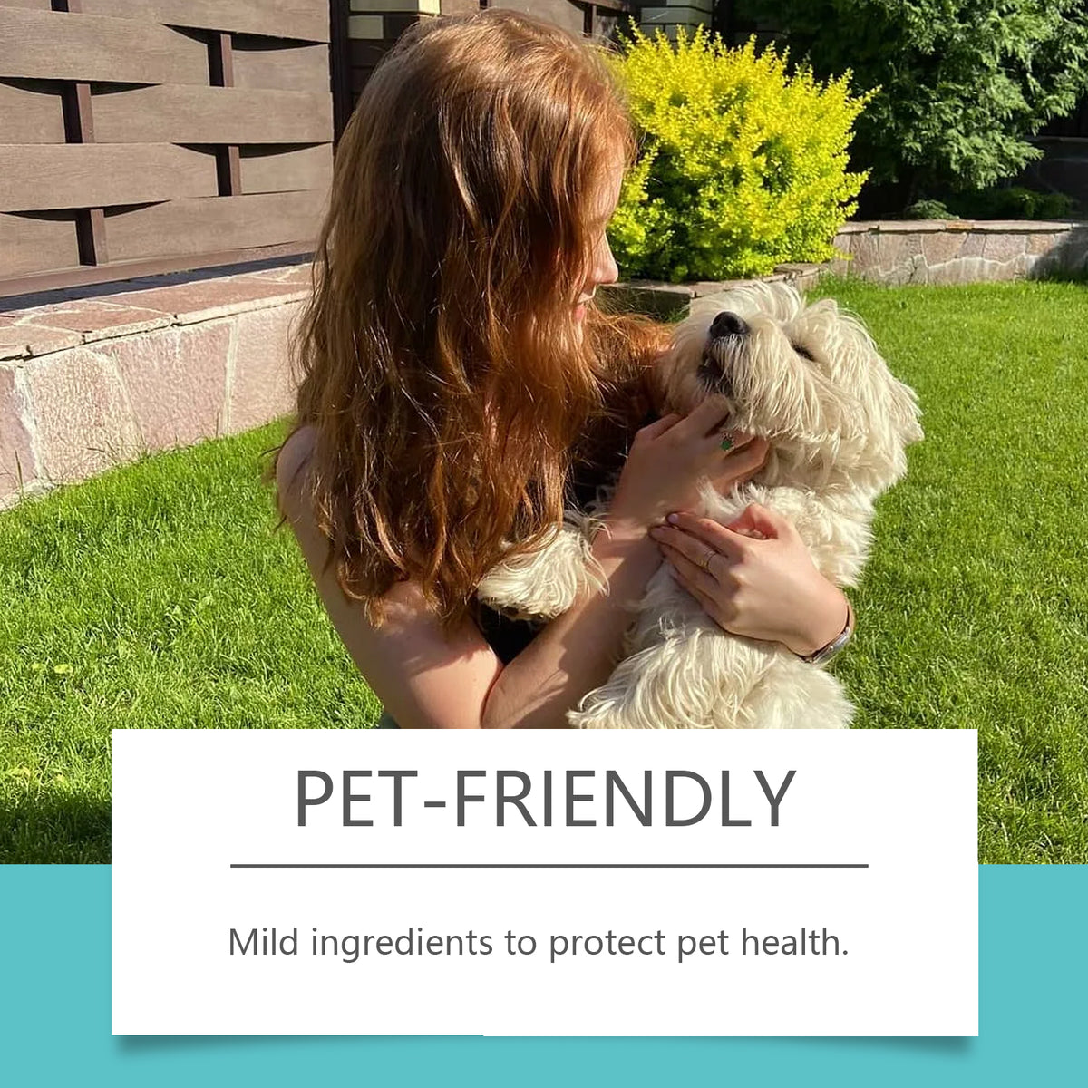 Pet Deodorant Spray, Gentle Pet Odor Eliminator For Dogs & Cats, Instantly Remove Bad Smell For Pet Bedding, Carpet & Ho