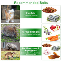 2Pcs 18x8x10In Humane Single Door Live Animal Trap For Spring Summer Collapsible Galvanized Iron Animal Cage Catch And R