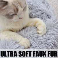 Cat Bed for Indoor Cats and small dogs - BIG FRENCHIES
