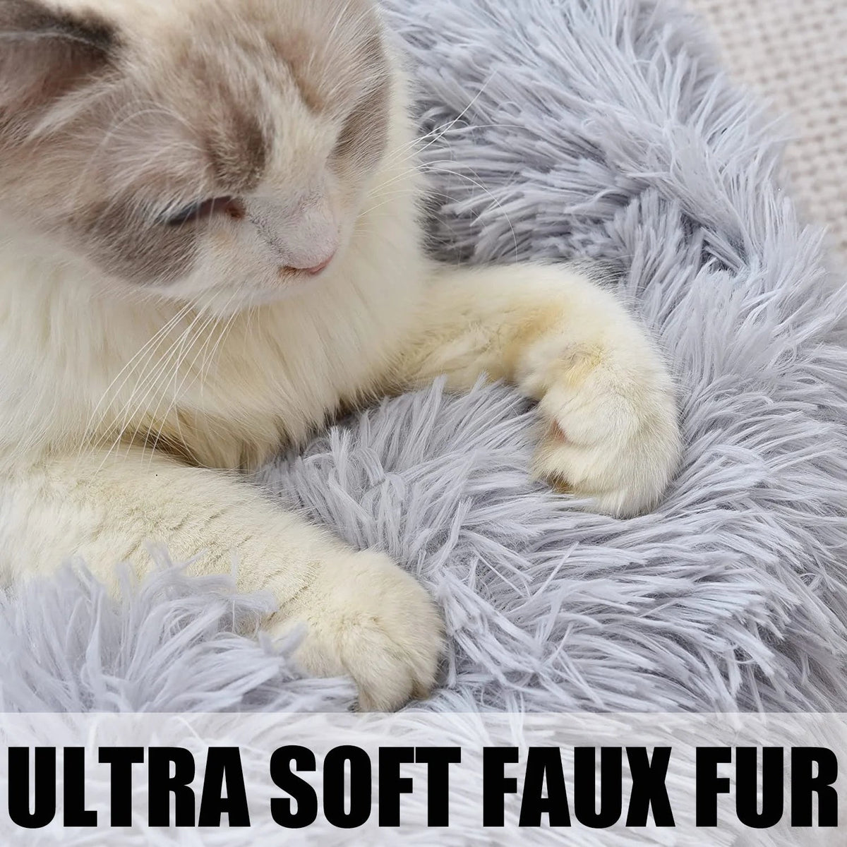 Cat Bed for Indoor Cats and small dogs - BIG FRENCHIES