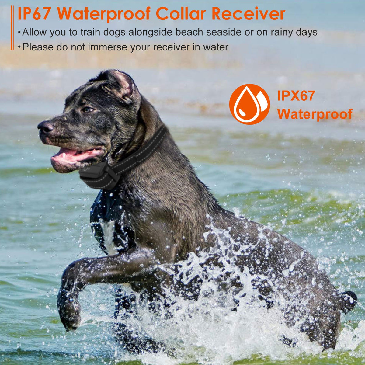 Train Collar OR Receiver Only Options - 3280FT Dog Training Collar IP67 Waterproof Pet Beep Vibration Electric Shock Col