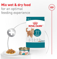 Senior Cat Wet Food 11+ Royal Canin Aging Thin Slices Gravy 3oz 12 Pack