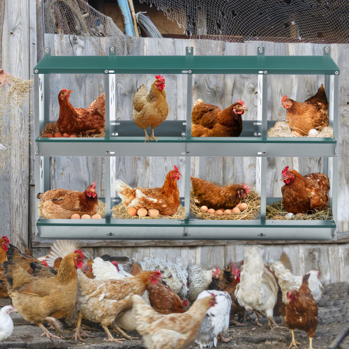 8 Compartment Chicken Nesting Boxes,For Laying Eggs, Metal Poultry Nest Box Wall Mount For Chickens, Hens, Large Vented 