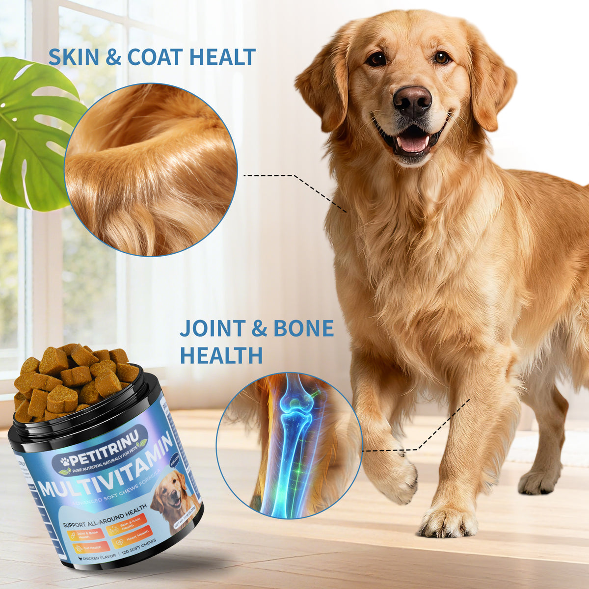 Only Self Pickup---Various Multivitamins For Dogs