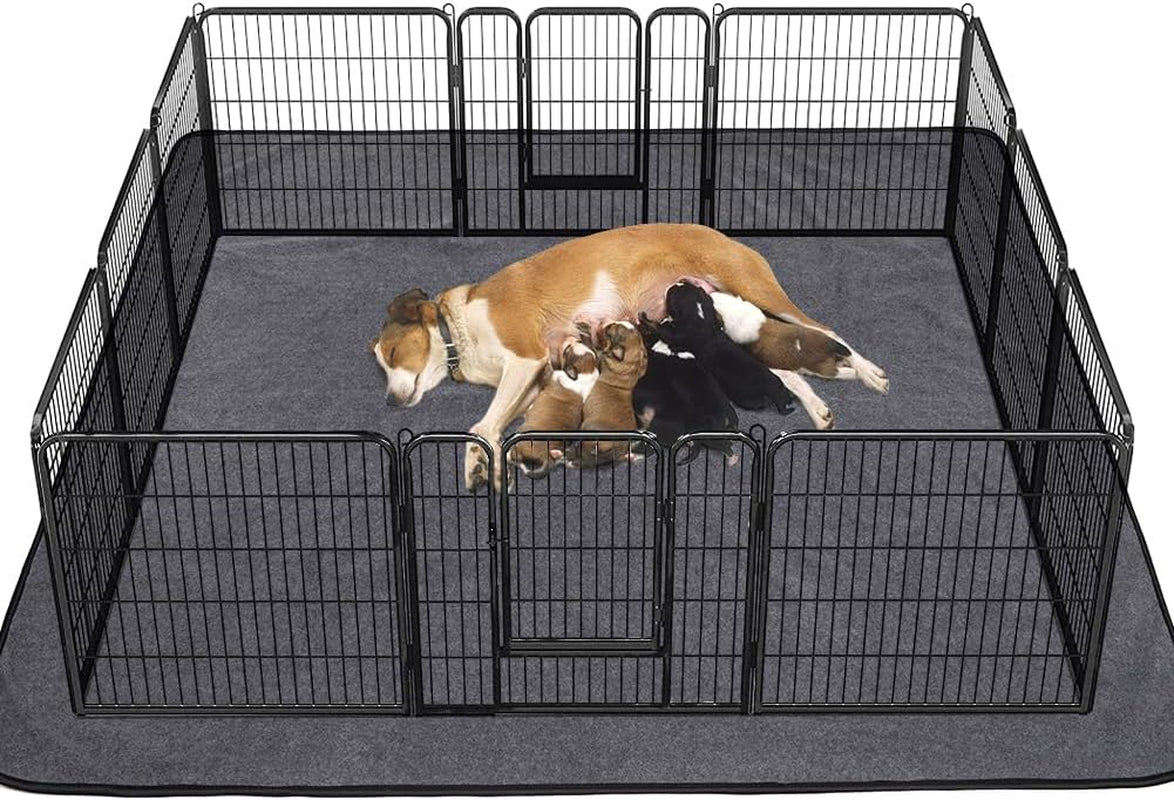 Washable Pee Pads for Dogs - BIG FRENCHIES