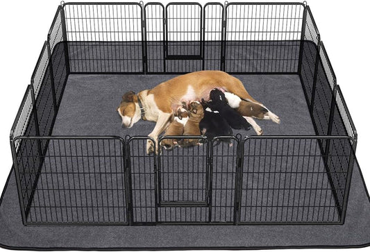 Washable Pee Pads for Dogs - BIG FRENCHIES