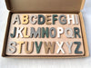 Montessori Wooden Puzzles
