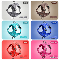 Reflective Pet Harness and Leash Set – Adjustable Escape Proof Soft Mesh Vest for Indoor & Outdoor Walking