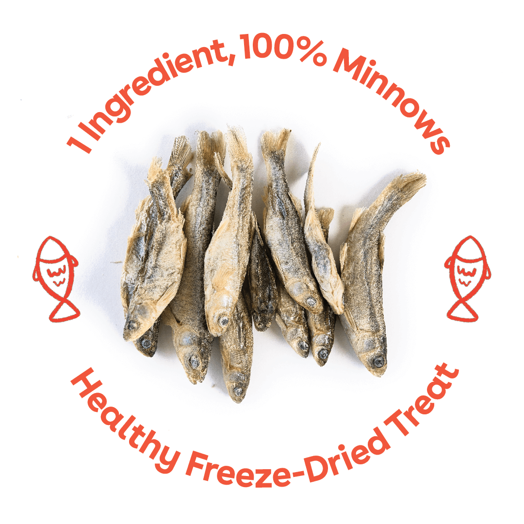 Pupford Freeze Dried Minnows Single-Ingredient Dog Treats, 1.5 oz, Pack of 11