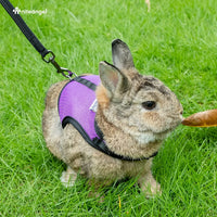 Adjustable Soft Harness with Elastic Leash for Rabbits (M, Pink) - BIG FRENCHIES