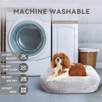 Cat Bed for Indoor Cats and small dogs - BIG FRENCHIES