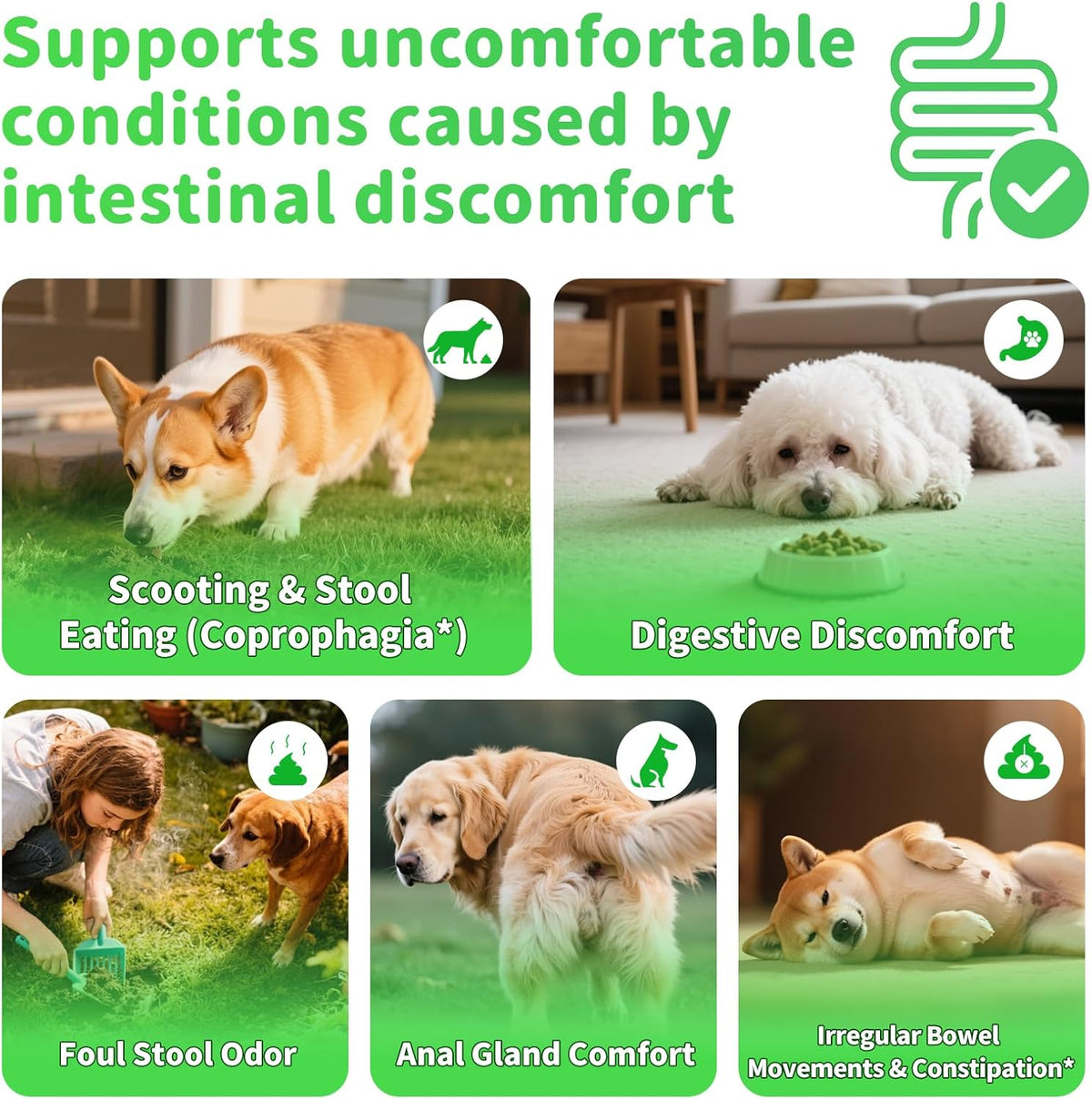 Dog Probiotics Digestive Enzymes,Pumpkin Fiber Chews For Gut Health, Constipation Upset Stomach Relief, Gas & Stool Supp