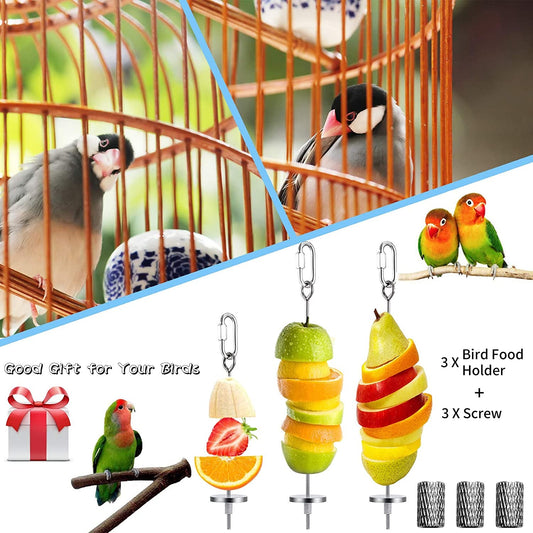 3Pcs Bird Food Holder - BIG FRENCHIES