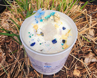 Air Sign Candle | Zodiac Candle | Element Candle | Gemini | Libra | Aquarius - BIG FRENCHIES