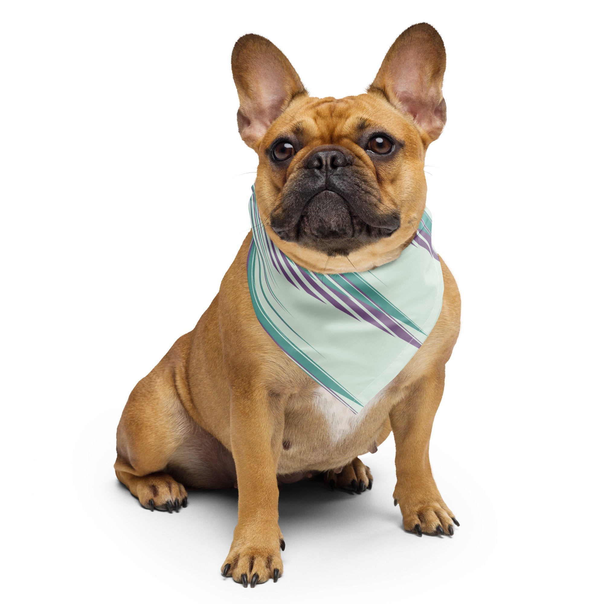 Sebastian & Clementine 80s Abstract Bandana For Dogs and Cats