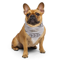 Sebastian & Clementine Flying Feathers Bandana For Dogs and Cats