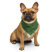 Sebastian & Clementine Green Sidewall Bandana For Dogs and Cats