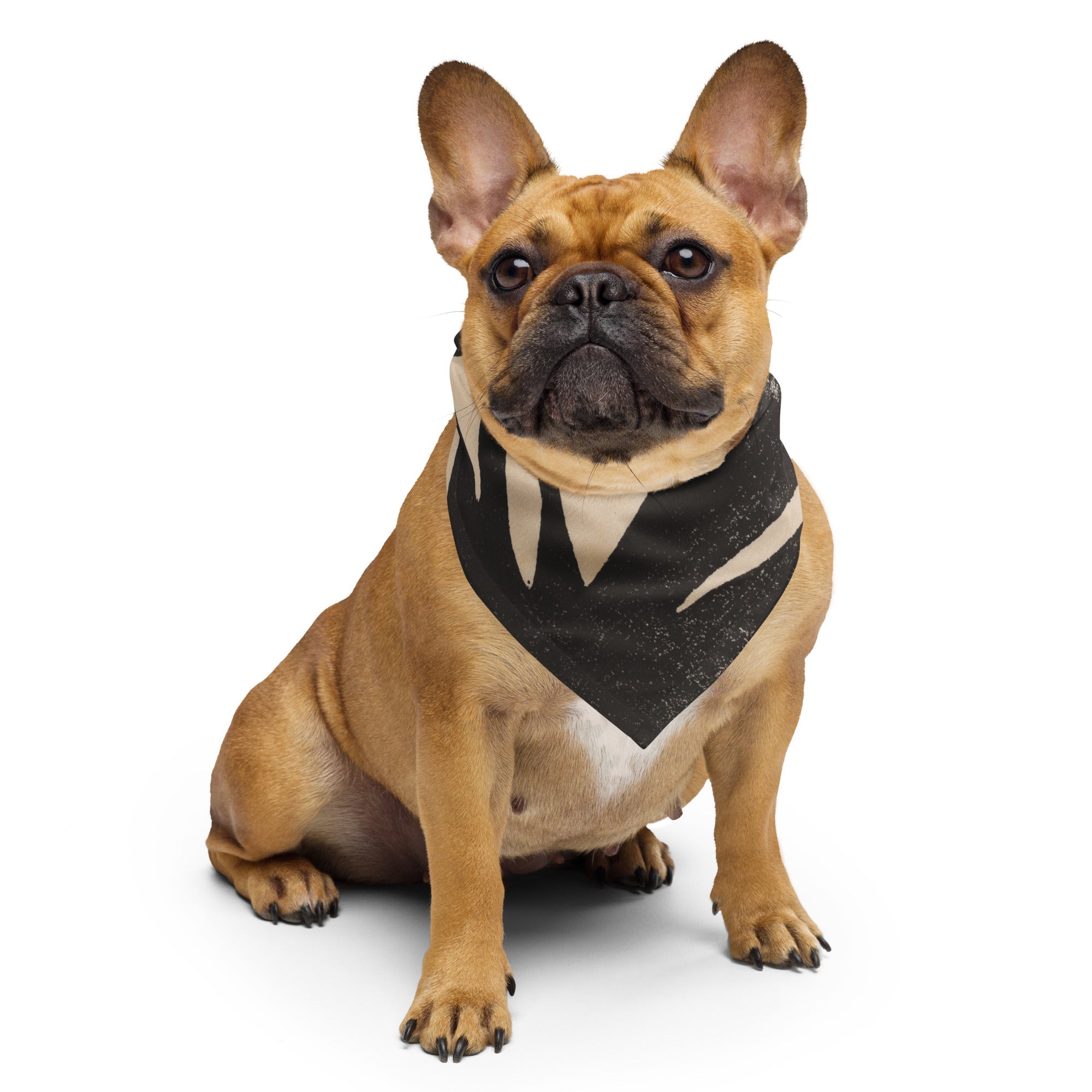 Sebastian & Clementine Composition XXII Bandana For Dogs and Cats