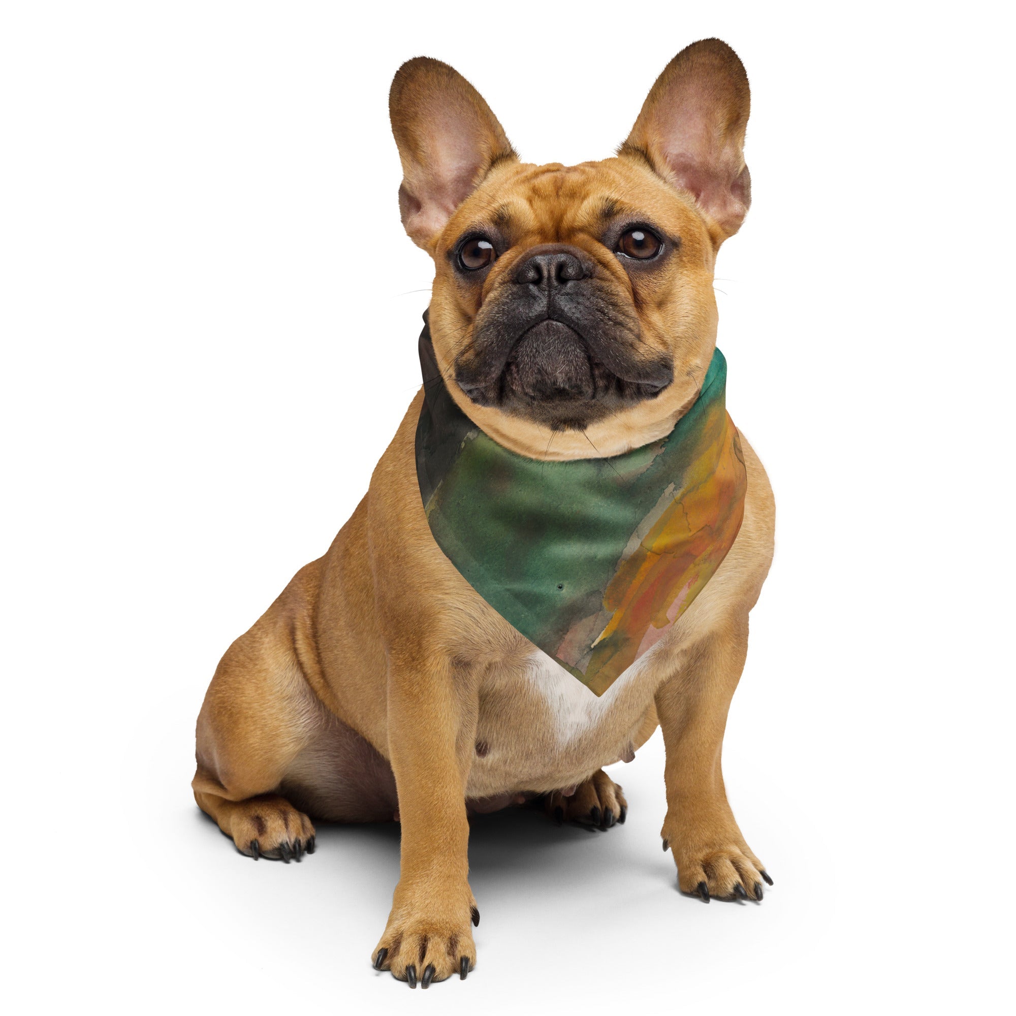 Sebastian & Clementine By The River Bandana For Dogs and Cats
